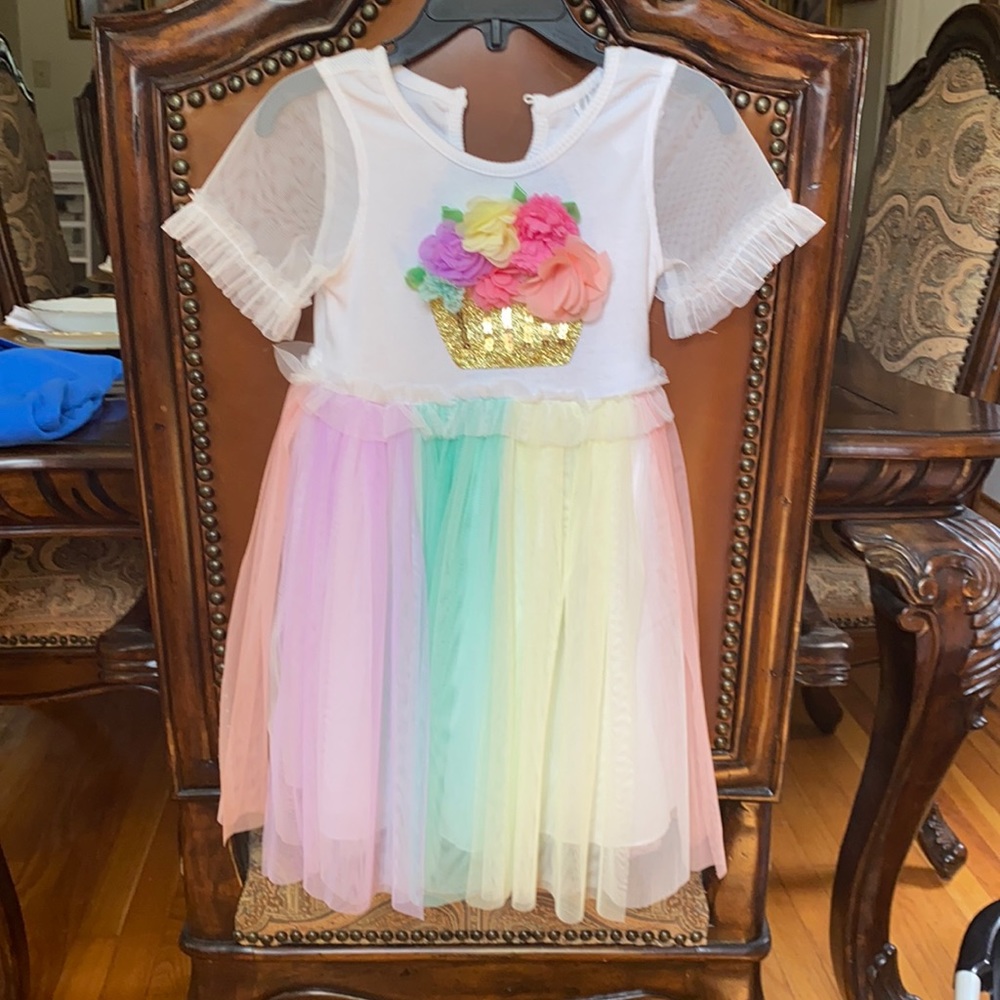 NWOT Rare Editions dress size 3T